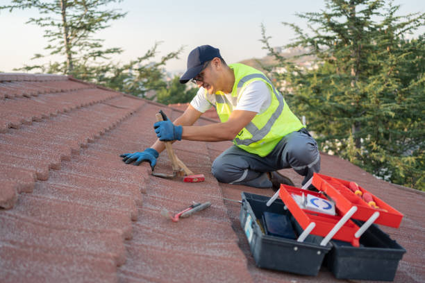 Best Roof Maintenance Services  in Tucson Mountains, AZ